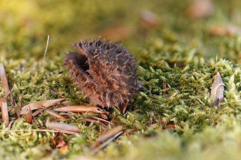 Směnka: Mrtvá relikvie, nebo tajná zbraň v kapse?